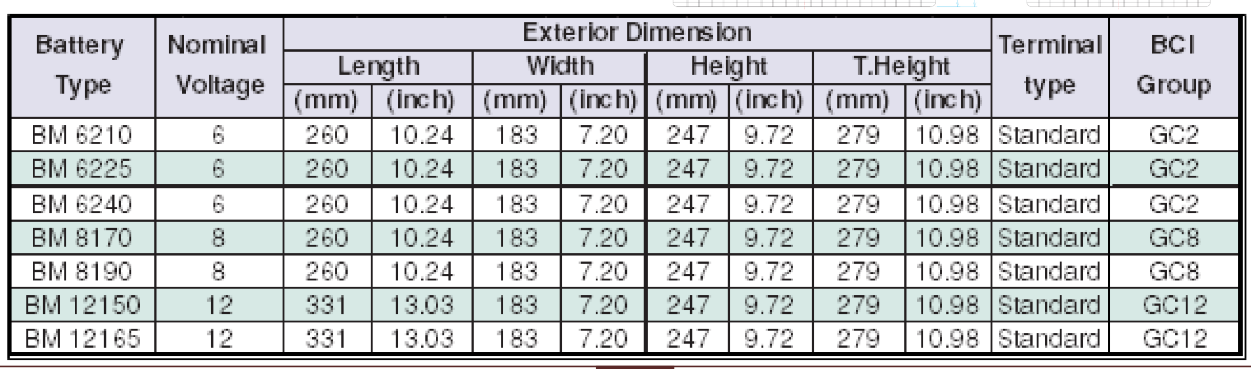 Batería de tracción 6V 225Ah Newmax BM6225 ciclo profundo 11 batería de tracción para autoelevadores tijera importador oficial. datos técnicos